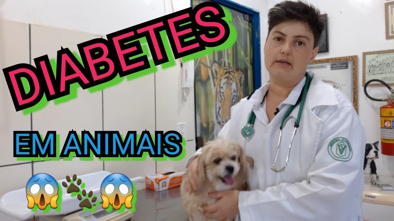 DIABETES EM ANIMAIS