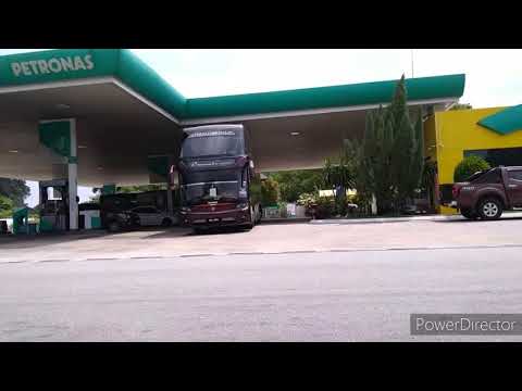 SCANIA D3 DARK PURPLE COSMIC EXPRESS