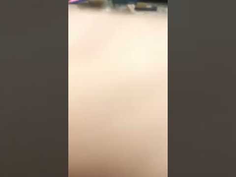 Unboxing adventure force crush & carry t-rex storage case Part 3 of 3