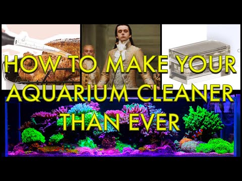 Take Your Aquarium Cleaning To The Next Level - 5 Must Have Tools For Pristine Tanks