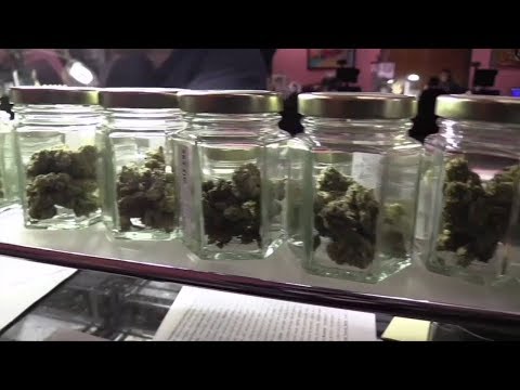 NJ Trenton Medical Marijuana Vote