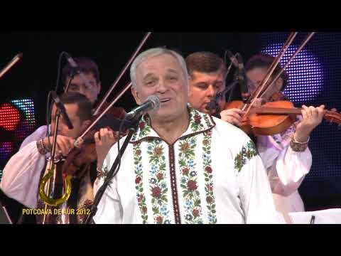 Constantin Rotaru - Am vorbit cu mândra mea #potcoavadeaur