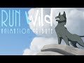 Run Wild // Animation Tribute