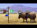Savanna version - EXIT