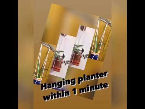 Hanging Planter within  1 minute ☘