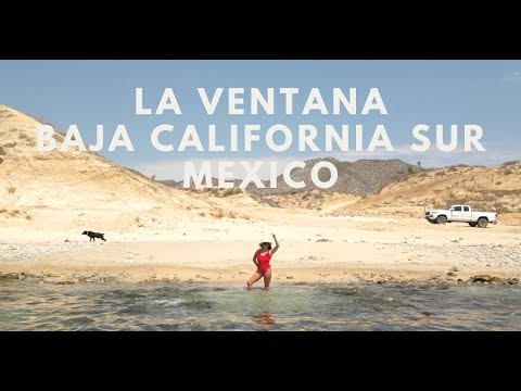 La Ventana Baja California Sur Mexico in Four Days | Best Beaches, Hot Springs and Ocean Safaris