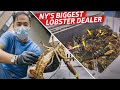 How Steven Wong Moves 80 000 Pounds Of Lobster A Week Vendors