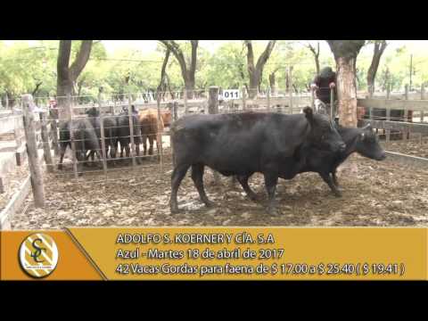 18-04-17 Venta de hacienda al kilo - Adolfo S. Koerner y Cía. S.A - Azul.