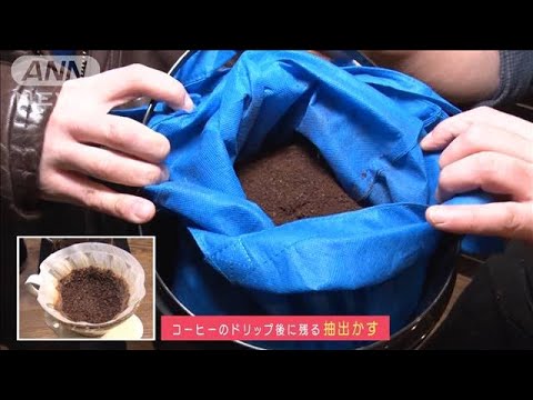 コーヒーかすを使ってネズミを駆除する方法は？永遠に別れを告げて  庭園