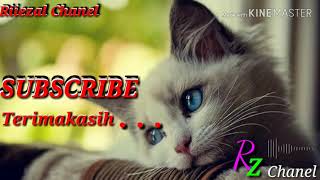 Download lagu Lagu duet paling enak/Ruri feat Chintya - Pesan dari hati (lirik lagu) mp3