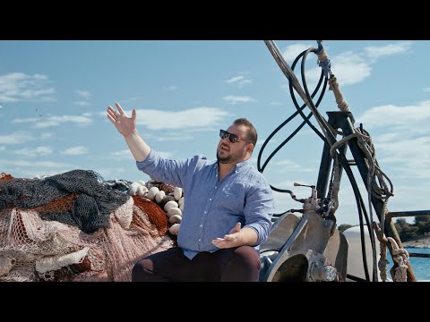 Mate Grgat - Dalmatinac zauvik (Official video)
