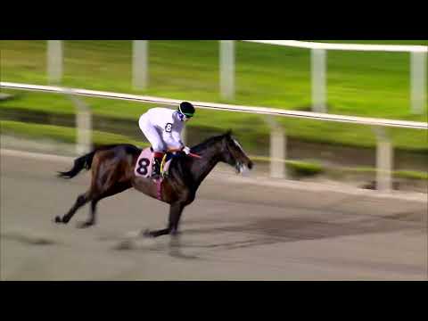 221002 c12 LEONIDES (ARG)