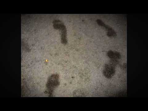 6 Most Disturbing Reddit Threads