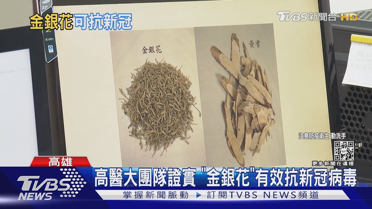 高醫大團隊證實　「金銀花」有效抗新冠病毒