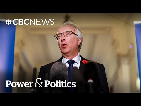 John Rustad says he resigned as B.C. Conservative leader to avoid a 'civil war' | Power & Politics