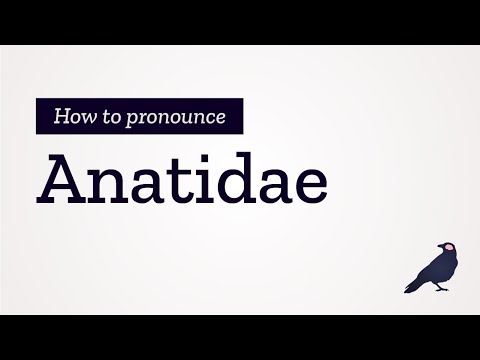 How to Pronounce Anatidae
