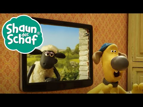Sondersendung & In der Waschstraße | Shaun das Schaf | Staffel 4 [Doppelfolge]