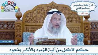 94 - حكم الأكل من آنية الزمرد والألماس ونحوه - عثمان الخميس