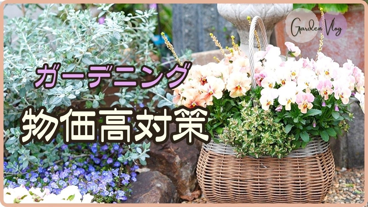 最近…高すぎません？でも大丈夫！お金をかけずに楽しむコツ8選