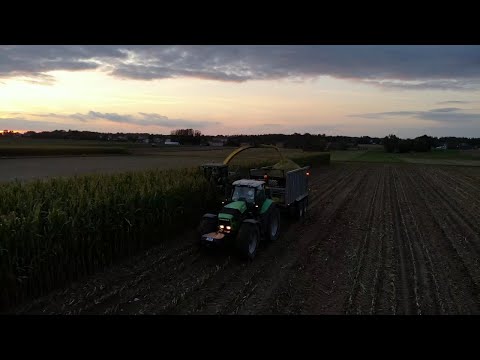 Kukurydza na kiszonke 2025 🔥 I Gr.Latuszek I Ur.Chmielak