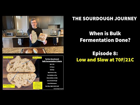 When is Bulk Fermentation Done? - Episode 8: “Low and Slow at 70F/21C"