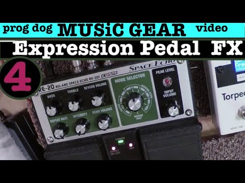 Expression Pedal Functions You Should Know "Space Echo RE 20 Pedal"