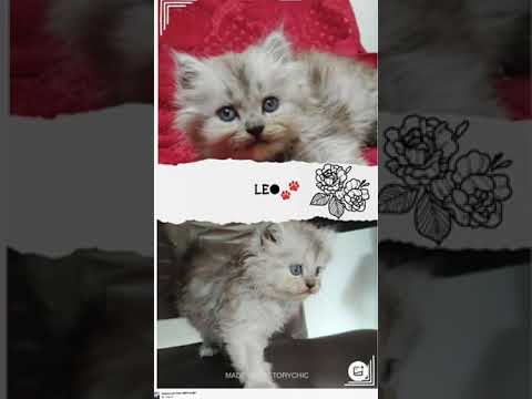 😻😻🙃🤗      2/12/2021