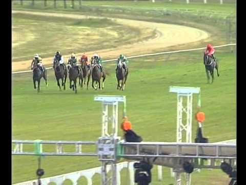 Borrowdale 02 June 2012, Race 6