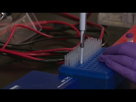 VIDEO: Groundbreaking study uses small chip to immediately detect Zika, stage of infection
