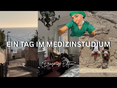 Everyday life in medical school - Semester abroad Edition II Marieke Emilia