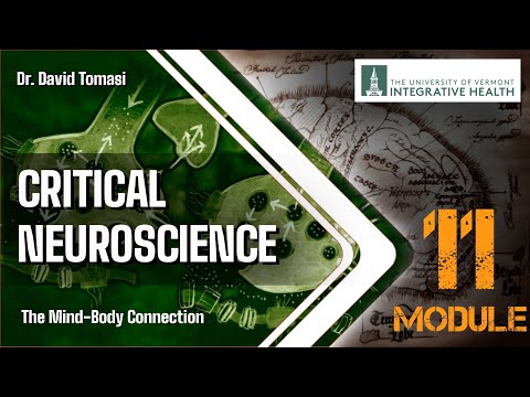 Week 11:  Mathematical Logic & Perception and Cognition (Critical Neuroscience)