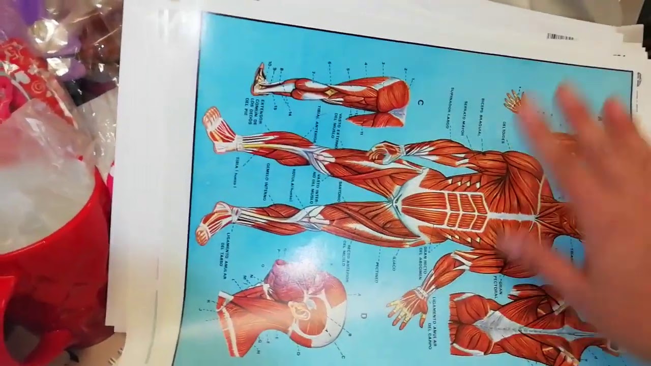 🤩 Monografías o láminas, parte 2