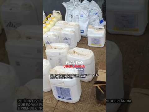 PC RECUPERA PRODUTOS AGRÍCOLAS EM UBERLÂNDIA QUE FORAM FURTADOS NO NOROESTE DE MINAS