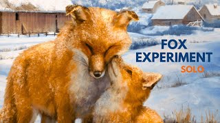 Totally Table - The Fox Experiment video thumbnail