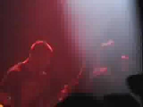 Stumpfucking live at SFG 2005