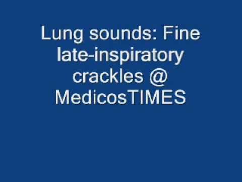 fine late inspiratory crackles