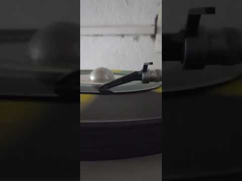 the fountinairs//don't steal my baby