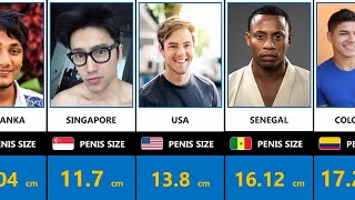 International Penis Size Compared | Comparison