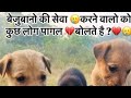 Bezubaan Ki Seva Animals Animals Mother Animals Seva Animals Seva Bhav Viral Video