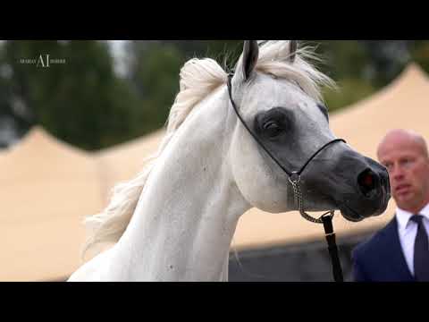 🔥 ATIUS O - Prague intercup 2021 🔥