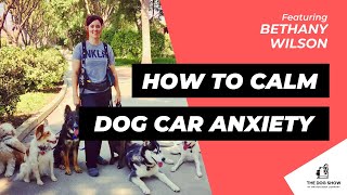 How to Calm Your Dog’s Car Anxiety with Bethany Wilson (Episode 51)