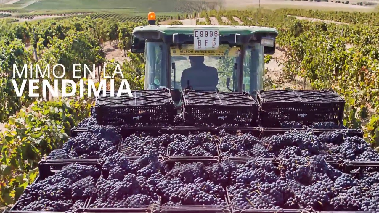 Watch Bodegas Príncipe de Viana Now Bodegas Príncipe de Viana