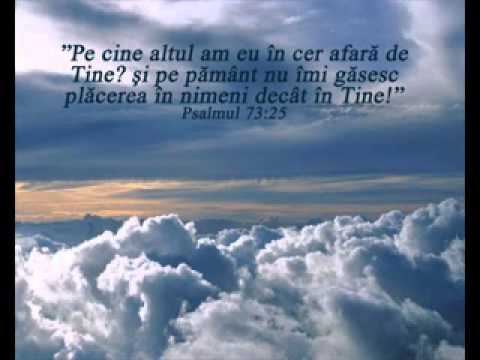 nelu harap pecruce sus