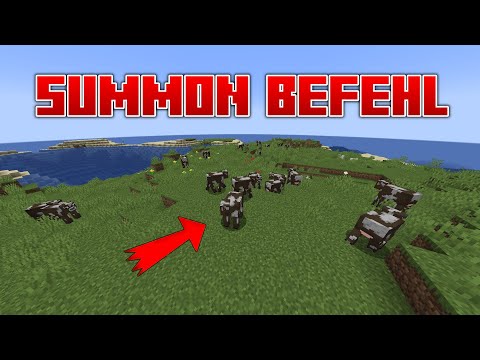 SABO -  MINECRAFT: SPAWN Animals and Monsters |  /Summon command tutorial
