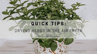 How to Dry Herbs in the Air Fryer