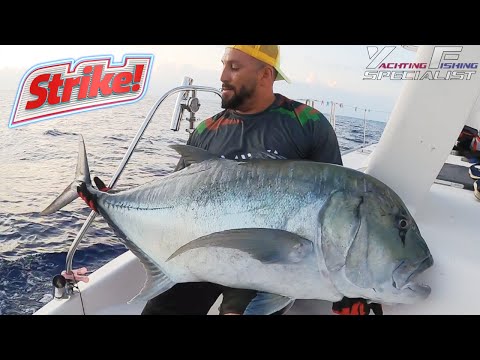Catamaran Fishing Charter in Seychelles - YFS Fishing Trip Seychelles 2022