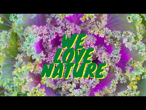 Your Kids Will Beg to Go Outside After This