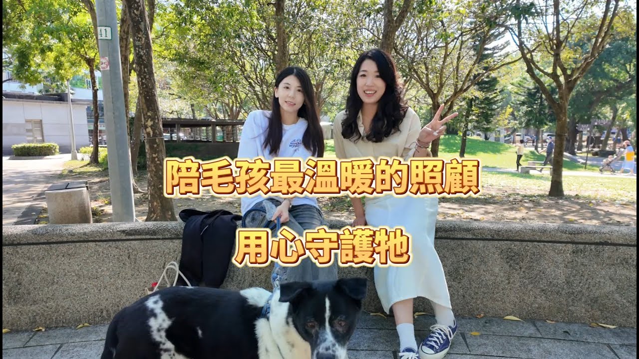 Migo老寶貝的皮膚改善之路