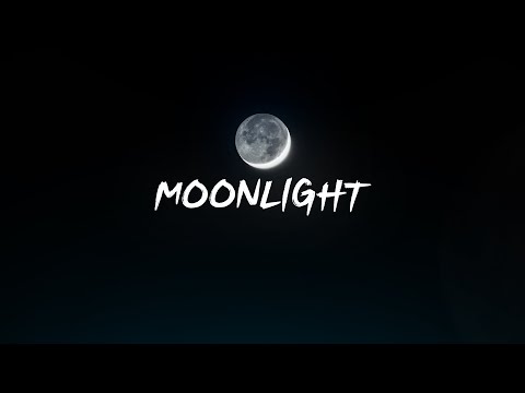 KAMERZYSTA x DREDZIARZ - MOONLIGHT
