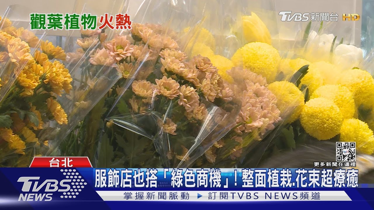 有片／這一株要價10萬！　疫情引爆全台「綠色商機」
